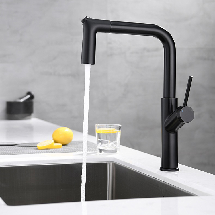 Grifo extraíble para fregadero de cocina, color negro, 2 modos